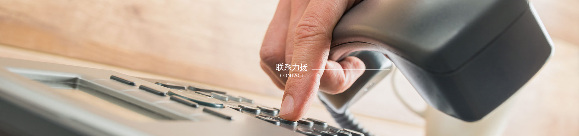 聯系力揚